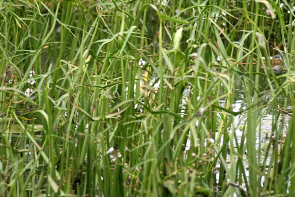 Killikus&reg; Fotographie